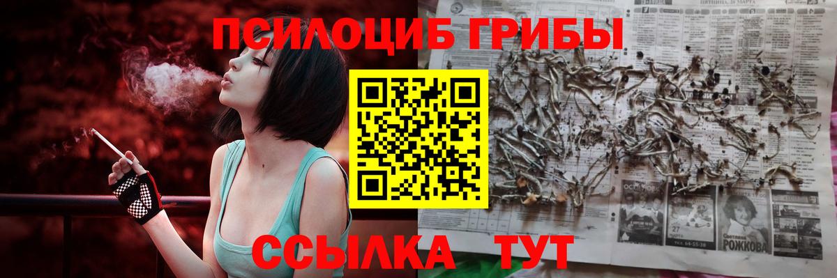 Псилоцибиновые грибы Cubensis Городец